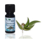 Evkaliptus (Eucalyptus Oil) - naravno eterično olje, 10ml