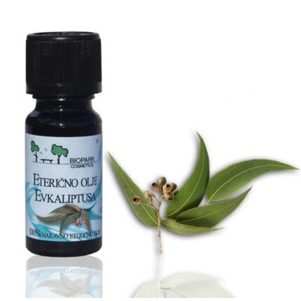 Evkaliptus (Eucalyptus Oil) - naravno eterično olje, 10ml