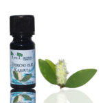 Kajeput (Cajeput Oil) - naravno eterično olje, 10ml
