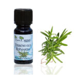 Rožmarin (Rosemary Oil) - naravno eterično olje, 10ml