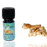 Ingver (Ginger) - naravno eterično olje, 5ml