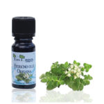 Origano (Oregano) - naravno eterično olje, 10ml