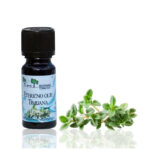 Timijan (Thyme) - naravno eterično olje, 10ml